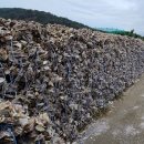 광도면사무소 이미지