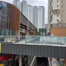 스타소아청소년과의원 이미지