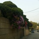 우면R&D센터 이미지