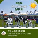 양천목장 이미지