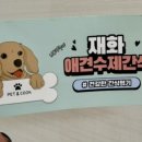 재화애견수제간식 이미지