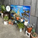 月のや 츠키노야 료칸앤풀빌라 | 거제 펜션 츠키노야료칸풀빌라 일본 감성숙소 301호 아카리 자쿠지 필란드식사우나 내돈내산