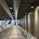 카투맨 | [8박 10일 유럽 신혼여행] Day3 프랑스 파리 둘째날 / 루브르 박물관, 콩코르드 광장, 퐁뇌프 다리...