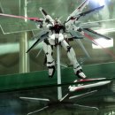 MG ZGMF-X10A FREEDOM GUNDAM-BLACK(G.Seed&Destiny) 이미지