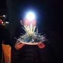 태안둘레길캠핑장 이미지