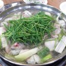 공릉동 닭한마리 Daum카페