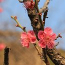 신답역(2) 이미지