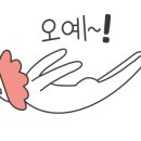 빈야사요가 초급반 이미지