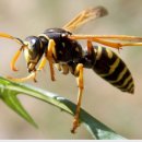 더메디칼 이미지