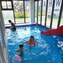 고래한마리277 이미지