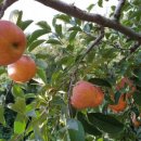 글램핑스테이션 이미지