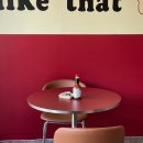 꼬알라파이 이미지