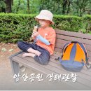 대구 앞산공원 아이랑 생태체험 나들이