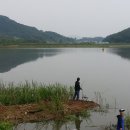 정들러