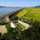 서해황금들녘길 이미지