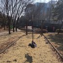 인천교 유아숲 이동식화장실 | 🌳 [인천 아이와 가볼만한곳] 봄을 기다리는 인천교 근린공원 '유아숲체험원' 나들이 ☀️