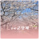 창해투어 | 진해군항제 주차 꿀팁 셔틀버스 벚꽃투어버스 정보 여좌천 벚꽃 후기