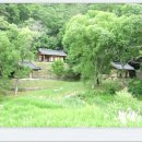 온혜공설시장 이미지