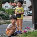 마인저 하우스 이미지