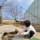 치치독 | 강릉_자연아 놀자 후기 (아이랑 가면 가이드 꼭 받아야 하는 이유)