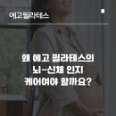 뉴로필라테스천호 네이버블로그