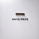 리바이브 체형교정