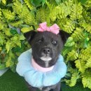 구성2로 이미지