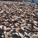 문수농장 이미지