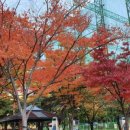 피울공원