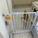 부흥로351번길 | 댕댕이가 있는 신상 카페 코너73 [부천 심곡천 Corner73] 내돈내산