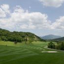 필로스골프클럽 이미지