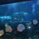 반딧불요양원 이미지