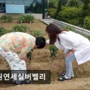 연세실버벨리 이미지