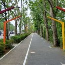 양재대로 이미지