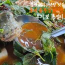 풍세솥뚜껑매운탕 | 천안 동남구 메기 매운탕 맛집 "풍세 솥뚜껑 매운탕" 솔직 후기 및 총정리