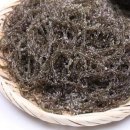 고시농장 이미지