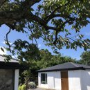 스테이우연 이미지