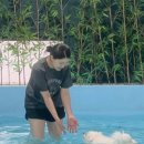 펫츠힐