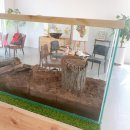 성화사슴농장 이미지