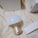 골드소프트 | [내돈내산]렉슨 조명 미나 m(+소프트골드 후기, 컬러, 밝기조절)