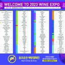 안은의료재단 | 2023 대전국제와인엑스포 소개 및 후기♬ (+ 대왕꿈돌이)♩♪