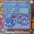 9월 3째주