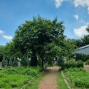 더힐링카페 이미지