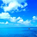 태평양 교역 이미지