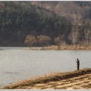 청평교회 앞 Daum카페
