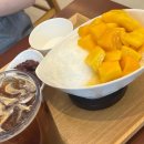 24시커피앤티