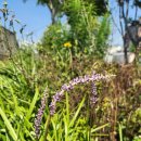 감천1동 행정복지센터 이미지