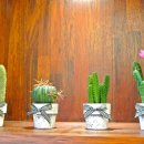 카페어반스위트 이미지