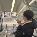 정우무역 | 우움..25년 상반기 일상 먹음.zip-2