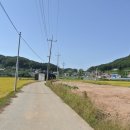 신도3리 마을회관 이미지